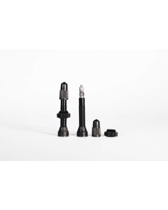 Valves Tubeless